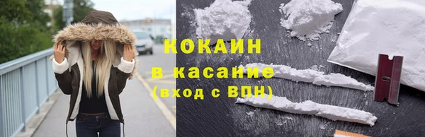 прущие грибы Волосово