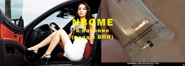 прущие грибы Волосово