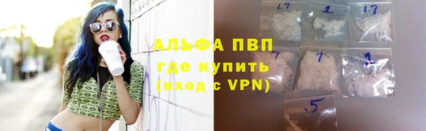 прущие грибы Волосово