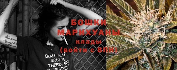 прущие грибы Волосово